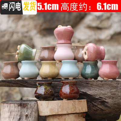 三维工匠陶瓷特小号多肉植物多色套装控型迷你多肉拇指肉肉花盆创意 米白色拇指盆随机6个 中小花盆容器
