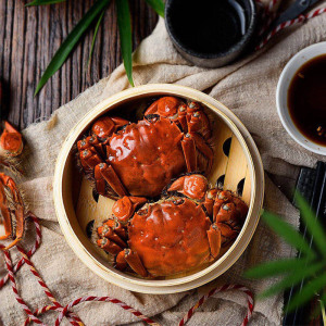 买8只送8只!澄湖之心大闸蟹 实物鲜活螃蟹 母蟹2.5-2.8两共16只