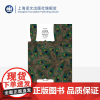彩画集(兰波散文诗全集) [法]兰波著 王道乾译 译文经典 十九末法国生活风情 诗人对世间的挑战 上海译文出版社 正版