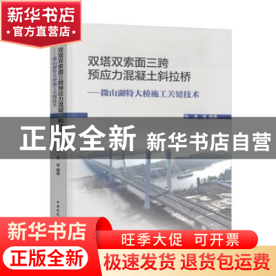 正版 双塔双索面三跨预应力混凝土斜拉桥--微山湖特大桥施工关键