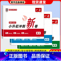 [3本全套]语文+数学+英语 小学升初中 [正版]2024版小升初冲刺新卷语文数学英语专题真题冲刺新卷小学六年级总复习小