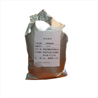 玉楸子 自固化涂料DT10 1kg/袋