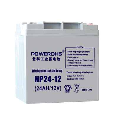 (POWEROHS)NP24-12免维护铅酸蓄电池12V24AH