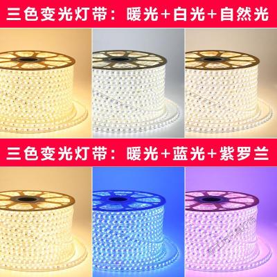 苏宁放心购 灯带led三色变光灯带七彩三色可调灯带套餐家用客厅吊顶三档变色软灯带灯条220V