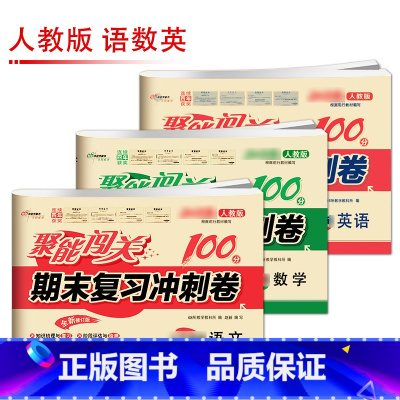 [人教版]语/数/英(3本) 八年级上 [正版]聚能闯关初中期末复习冲刺卷100分国一上册试卷测试卷全套八九年级上下册初