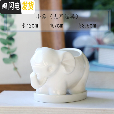 三维工匠创意多肉白色动物陶瓷小花盆家用植物陶瓷盆卡通萌萌可爱阳台个性 小象(大耳翘鼻) 小花盆容器