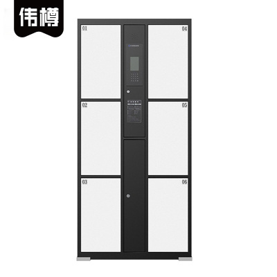 伟樽电子存包柜人脸识别6门850*460*1800mm台