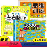 [正版]全套3册3-4岁儿童全脑开发图画书 幼儿左右脑智力开发数学思维训练早教逻辑推理书籍幼儿园益智启蒙观察力专注力启