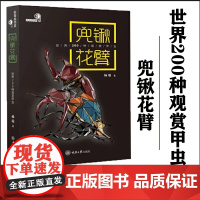 正版 兜锹花臂:世界200种观赏甲虫 9787568927772 重庆大学出版社 杨瑞