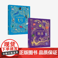 [7-15岁]DK灵动盎然的飞鸟+DK无与伦比的地球 套装2册 本 霍尔等著 中信出版社图书 正版