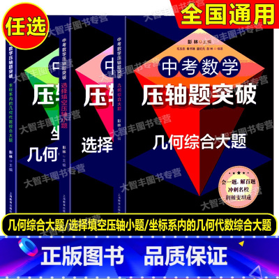 选择填空+坐标系内+几何综合大题(全3册) 初中通用 [正版]全3册新版中考数学压轴题突破 选择填空压轴小题+坐标系内的