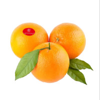 艾提尕橙子5公斤/箱