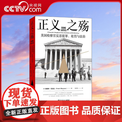 [央视网]正义之殇 击溃华尔街的人 美国传奇联邦检察官反思犯罪 处罚与法治 能真正伸张正义的人 而不是法律 TJ