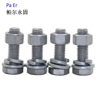 帕尔永固 热镀锌螺栓 六角头螺栓 单头螺栓(配套螺母、平垫、弹垫)M16*180 个