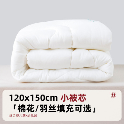 儿童宝宝幼儿园小被子被芯入园专用床品春秋被夏凉空调被加厚冬被