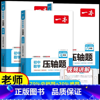 ⭐[数学专项3本]函数+几何+应用题 全国通用 [正版]2024年新品初中数学应用题数学函数几何模型中考数学必刷题数学专