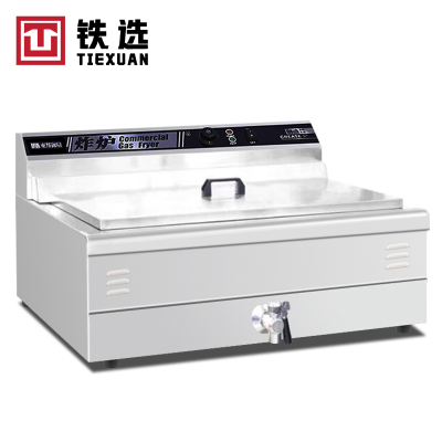 铁选 豪华台式电炸炉 TX-TS-6 台