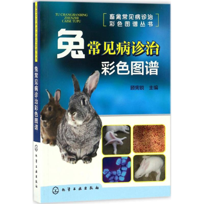 [M]兔常见病诊治彩色图谱-9787122287632