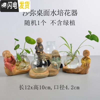 三维工匠陶瓷花盆多肉绿萝吊兰盆栽 家用阳台室内创意 沙弥桌面水培花器随机1个 中等花盆容器