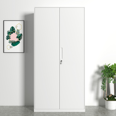 臻远 文件柜办公柜钢制铁皮柜资料档案储物柜拆装窄边柜纯白色加厚款 铁门对开