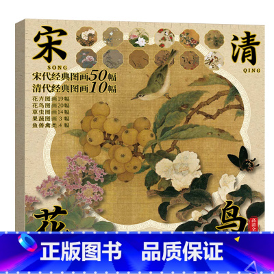 宋清花鸟高清彩图-60幅 [正版]中国画白描描摹本 工笔画白描底稿临摹画册 山水花鸟国画白描线稿 勾线笔控笔 描红拓印