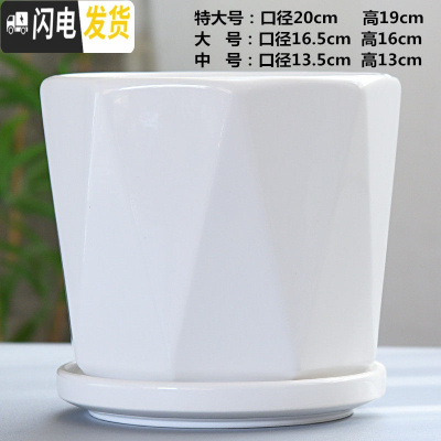 三维工匠北欧花盆陶瓷带托盘大号特大号白色简约个性绿萝多肉花盆 TX钻石白-V形 中等花盆容器