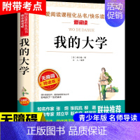 我的大学 [正版]童年书高尔基原著完整版 六年级上册课外书必读经典书目小学快乐读书吧六上阅读书籍爱的教育小英雄雨来适合学