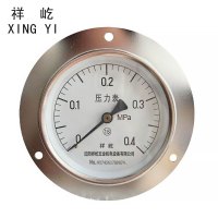 祥屹+轴向带边压力表检测定制型+Y100ZT+块
