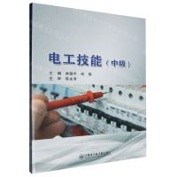 [N]电工技能(中级)-9787566141507