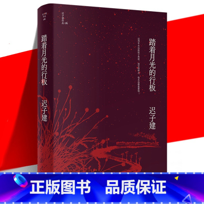 [正版] 踏着月光的行板 迟子建作品 茅盾文学奖 鲁迅文学奖 四个各具魅力的情爱世界 当代文学短篇小说故事集书 作