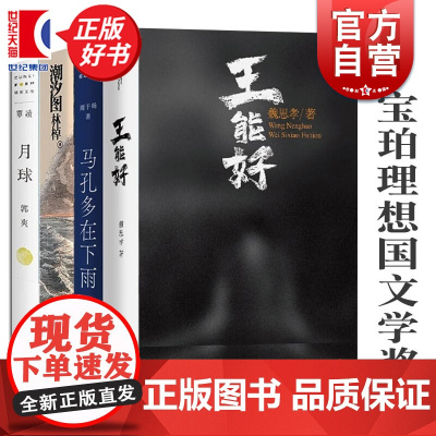 王能好/潮汐图/月球/马孔多在下雨/时运 宝珀理想国文学奖作品上海文艺出版社中国当代文学小说林棹魏思孝周于旸郭爽魏思孝著