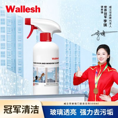 威立世Wallesh 玻璃门窗清洁剂508ml