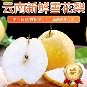 [西沛生鲜]云南新鲜雪花梨 净重5斤 大果 单果200g+ 新鲜脆梨水果当季现摘现发雪花梨孕妇水果头茬新果