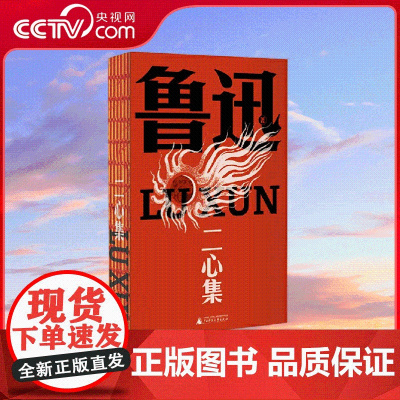 [央视网]二心集 鲁迅文库本 以1938年传世母本为底 左翼旗手呼喊言论自由之杂文集 收录38篇叛逆作品 反抗霸权 SS