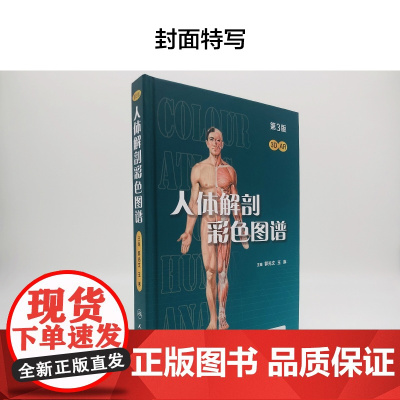 人体解剖彩色学图谱 第三版第3版新版郭光文3D搭奈特医用医学生解剖书外科全彩局部系统实用解剖彩绘本科大学教材二版升级人民