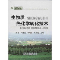 醉染图书生物质热化学转化技术9787502471354