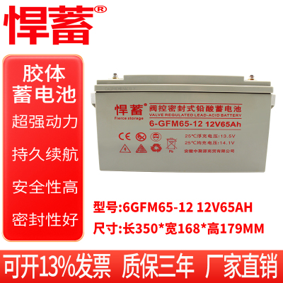 12V65AH太阳能专用蓄电池UPS通讯应急EPS电力直流屏电瓶6GFM65-12