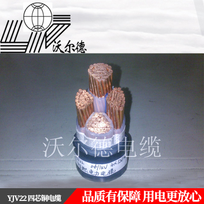 沃尔德电缆 电力电缆 YJV22 0.6/1KV 4*4+1*2.5