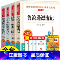 (送考点) 快乐读书吧六年级下册 全4册 [正版]鲁滨逊漂流记六年级下册必读课外书 快乐读书吧 汤姆索亚历险记原著完整版