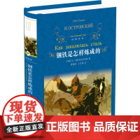 钢铁是怎样炼成的 精 经典译林原著无删减 八年级下配套阅读 初中生课外书目 世界名著 现当代文学 译林出版社