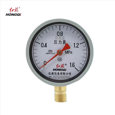 红旗 耐高温压力表定制检测款 YTH-200 1.6MPA (其他压力值需备注) 块