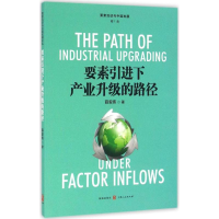 音像要素下产业升级的路径薛安伟 著