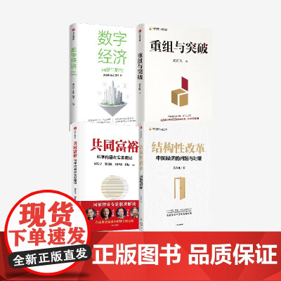 结构性改革+共同富裕+数字经济:内涵与路径+重组与突破(套装4册) 黄奇帆 朱岩 邵平 蔡昉等著 中信出版社图书 正版
