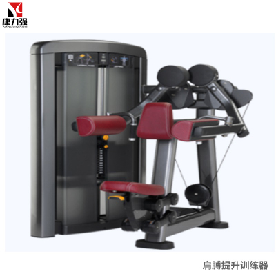 康力强LS508商用坐式肩膊提升侧平举肩外展三角肌训练局部型力量器械