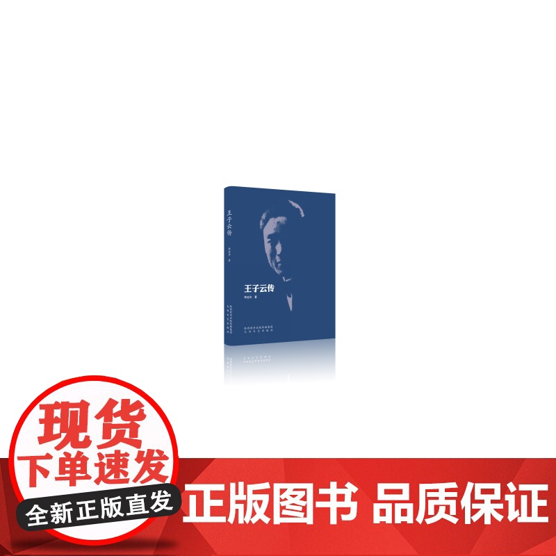 王子云传