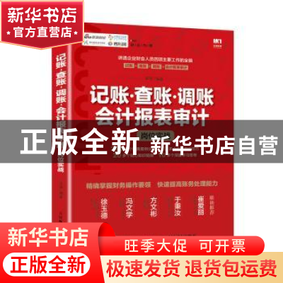 正版 记账 查账 调账 会计报表审计岗位实战 平准 人民邮电出版社