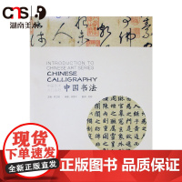 正版 中国艺术入门丛书 中国书法 书法入门书籍 湖南美术出版社店