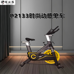 探仕狼 动感单车室内家用磁控健身车静音运动自行车P2133
