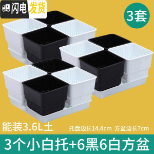 三维工匠多肉花盆带托盘肉肉套装组合透气塑料控根控型盆器特 [3套][2.8元]小白托+2黑2白盆(7cm盆) 小花盆容器