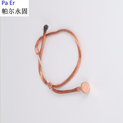 帕尔永固 熔丝 10KV 20A 个